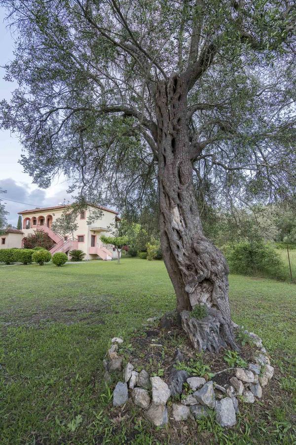 Green Corner Villas Gouvia Bagian luar foto